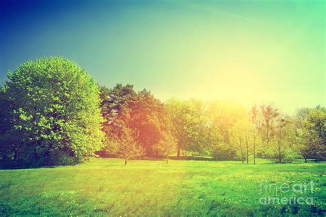 Sunny Summer Green Landscape Photograph By Michal Bednarek Fine Art