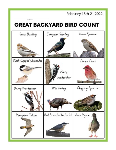 Great Backyard Bird Count Tracks Youth Program