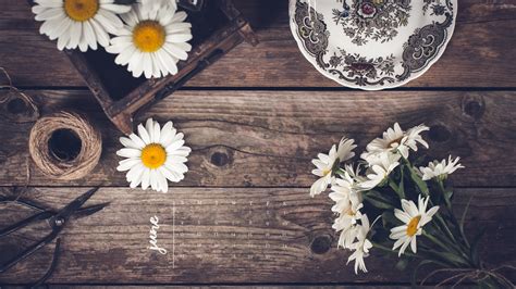 1920x1080 pinterest wallpapers, live pinterest backgrounds (45), pc, w.web. 2017 Desktop Calendars - minding my nest