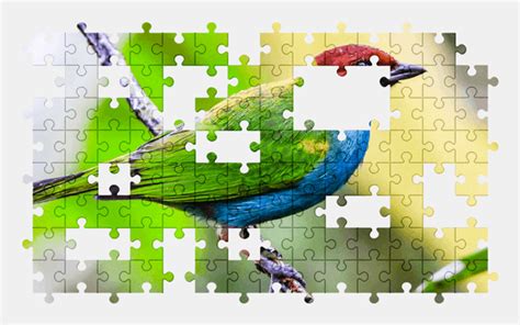 Bird Jigsaw Puzzles Online