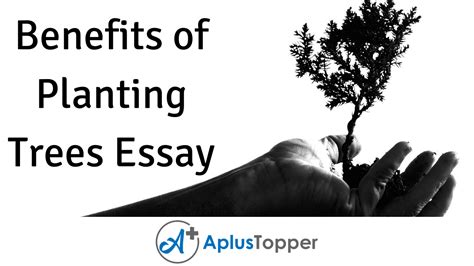 Benefits Of Planting Trees Essay Essay On Benefits Of Planting Trees