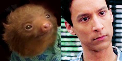 Sloths Who Look Like Famous People