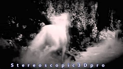Real Unicorn Sighting Caught On Tape Amazing Raw Footage In Hd Youtube