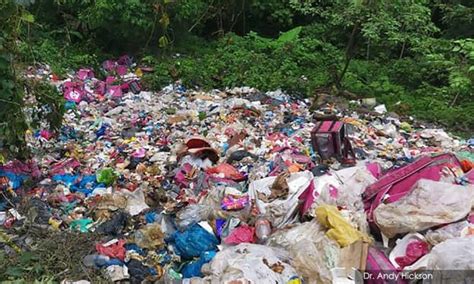 Cara buang sampah di jepang. Hutan jadi tempat buang sampah