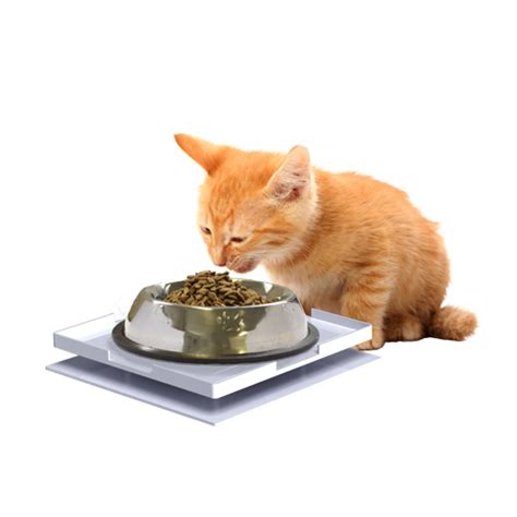 Feeding with raised bowls protects a cat's neck and joints by providing a more comfortable eating posture, especially for older cats. Ant Proof Plate for Dog & Cat Food Bowl - Square