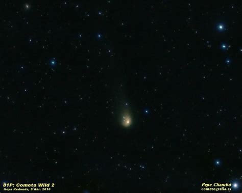 Wild 2 Comet Flickr Photo Sharing