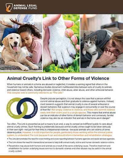 Animal Cruelty And Domestic Violence The Link Between Cruelty To