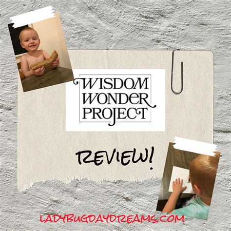 Wisdom Wonder Project Review