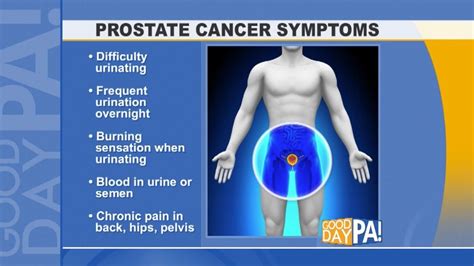Prostate Cancer The Facts Universal Health Products
