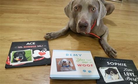 Show them just how much they're loved and adored with the best pet gifts for dogs, cats and other animals. Personalized Dog Books - Put Me in the Story Review ...