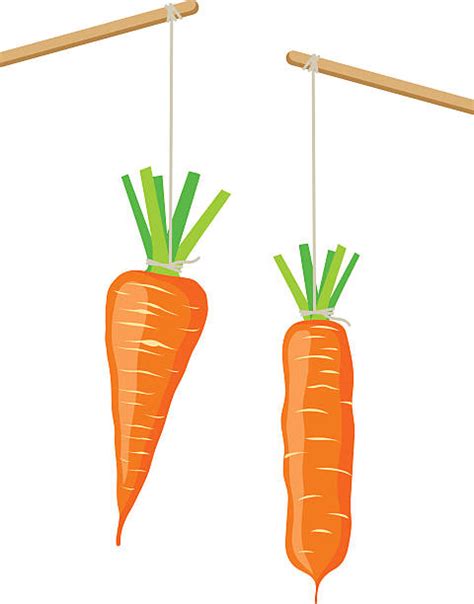 500 Carrot And Stick Vector Ilustraciones De Stock Gráficos