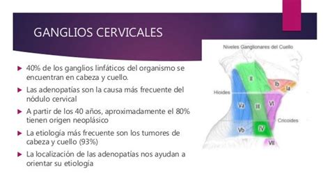 Niveles Ganglionares