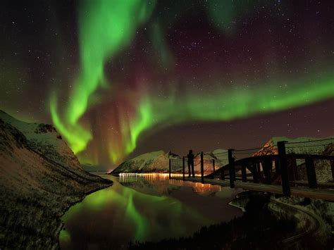 Lofoten Islands Northern Lights Aurora Borealis Norway Northern