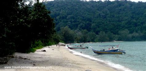 Get details of location, timings and contact. Monkey Beach Penang National Park (Teluk Duyung)