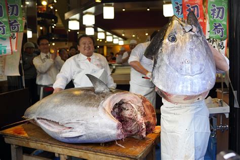 Tuna sells for $1.8 million in first Tokyo auction of 2020 ...