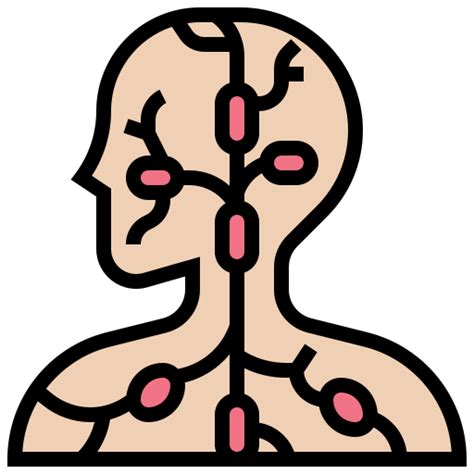 Lymph Nodes Meticulous Lineal Color Icon