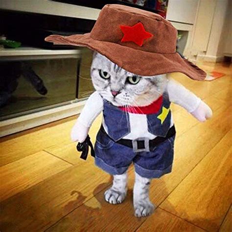 Cat Cowboy Costume Amazon Com Mikayoo Pet Dog Cat Halloween Costumes
