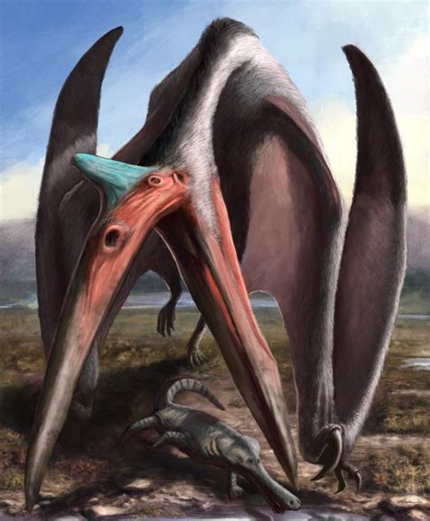 Quetzalcoatlus Mundo Dos Dinossauros Animais Dinossauros
