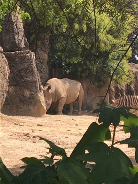 Philadelphia Zoo - All You Need to Know Before You Go - TripAdvisor