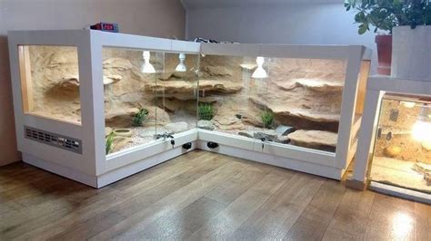 Reptile Cage Diy Lizards Reptile Cage Diy Vivarium Vivarium Pour