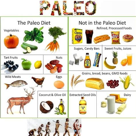 Paleolithic Diet History As Appropriate