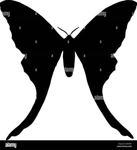 Una Silueta En Blanco Y Negro De Una Mariposa Imagen Vector De Stock