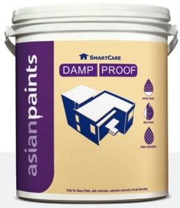 Asian Paints White 20 Ltr Smartcare Damp Proof