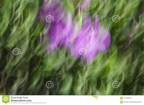 Abstract Motion Blur Effect Spring Blurred Flowers Stock Photo