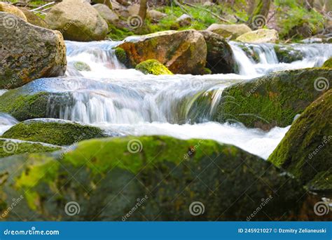 Cold Water Flows Over The Stones Of Green Moss In The Forest Stock