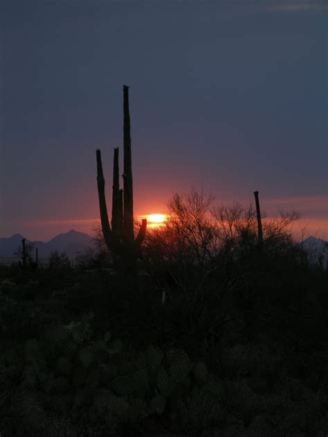 Free Images Landscape Silhouette Mountain Cactus Light Cloud