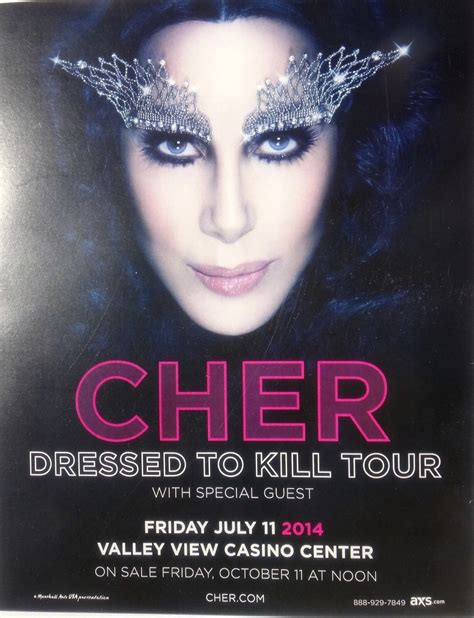 Cher Dressed To Kill Tour 2014 San Diego Concert Poster Beautiful