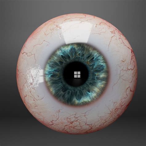 3d Model Human Eyes Vr Ar Low Poly Cgtrader