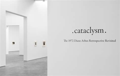 Diane Arbus Cataclysm The 1972 Diane Arbus Retrospective Revisited