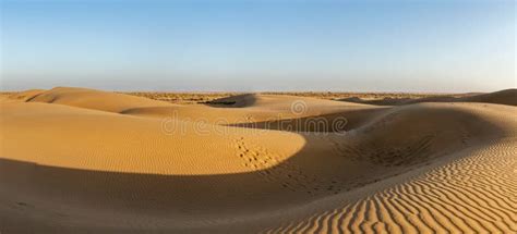 Panorama Of Dunes In Thar Desert Rajasthan India Stock Photo Image