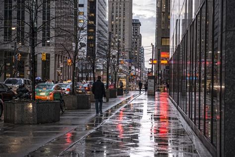 Rain And The City Ontario Photography Toronto Neighbourhoods