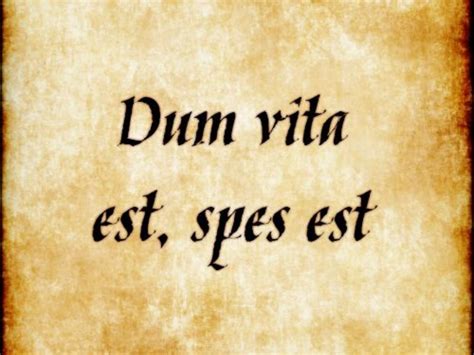 Dum Vita Est Spes Est Translation - 1 Famouse Latin or Greek Phrase - Ronald Coates - Simbi