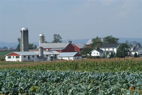 Farmland In Lancaster County Amish Farm Amish Farm And House Amish