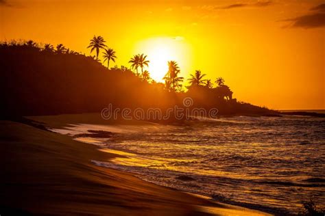 Tropical Sunset At The Beach With Palms Stock Image Image Of Summer