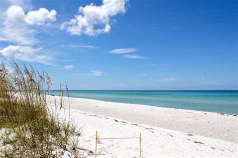 Surprising Facts About Sarasota Must Do Visitor Guides Perfect