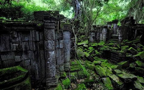 Jungle Ruins Wallpapers Top Free Jungle Ruins Backgrounds Wallpaperaccess