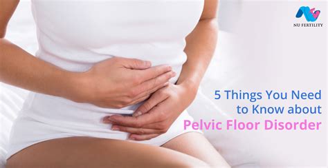 Things You Need To Know About Pelvic Floor Disorder Nu Fertility
