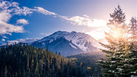 Snow Mountains Wallpaper 4k Pine Trees Clear Sky Clouds
