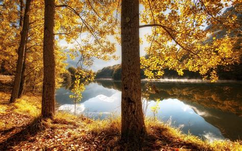 1280x800 Resolution Brown Trees Nature Landscape Fall River Hd