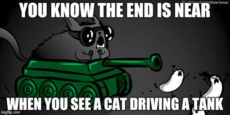Image Tagged In Cat In A Tank Imgflip
