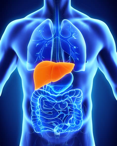 7 Foods That Naturally Cleanse The Liver My Simple Remedies