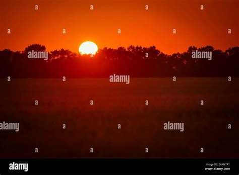 Beautiful Sunset Sunrise Behind Trees And Field Stock Photo Alamy