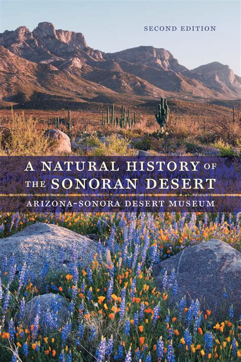 A Natural History Of The Sonoran Desert By Arizona Sonora Desert Museum