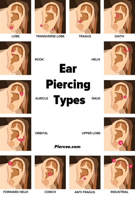 Ear Piercing Pain Chart By Jewelry