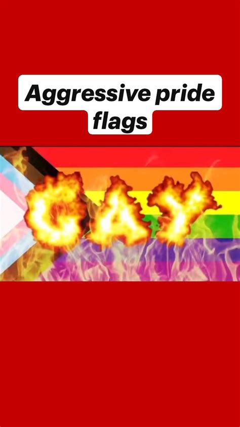 Aggressive Pride Flags Pinterest