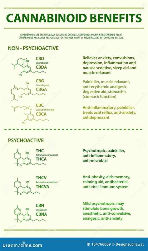 Cannabinoid Benefits Vertical Infographic Stock Illustration